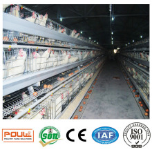 Best Price Poultry Farm Egg Layer Chicken Cages